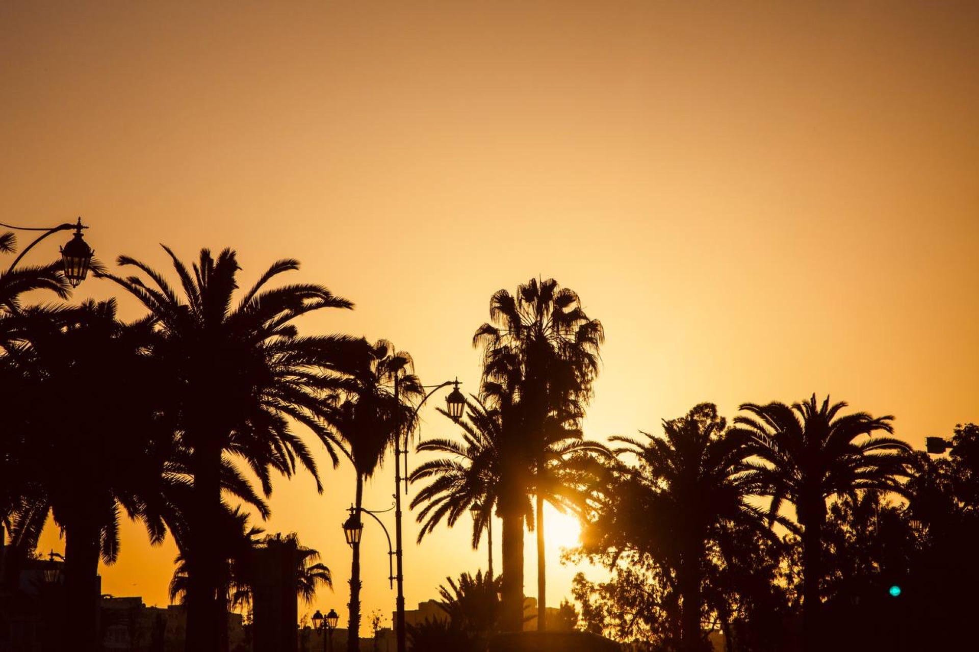 Agadir promenade lined with palms by the beach